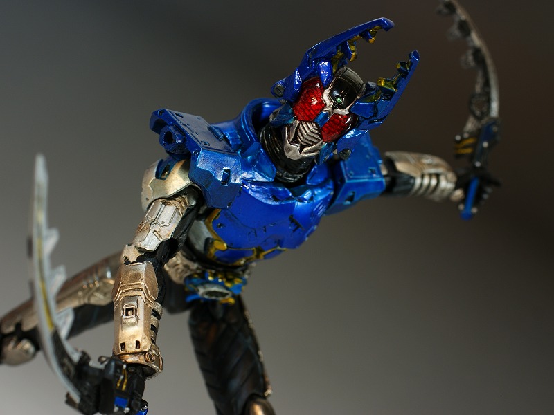 dkg4-4.jpg